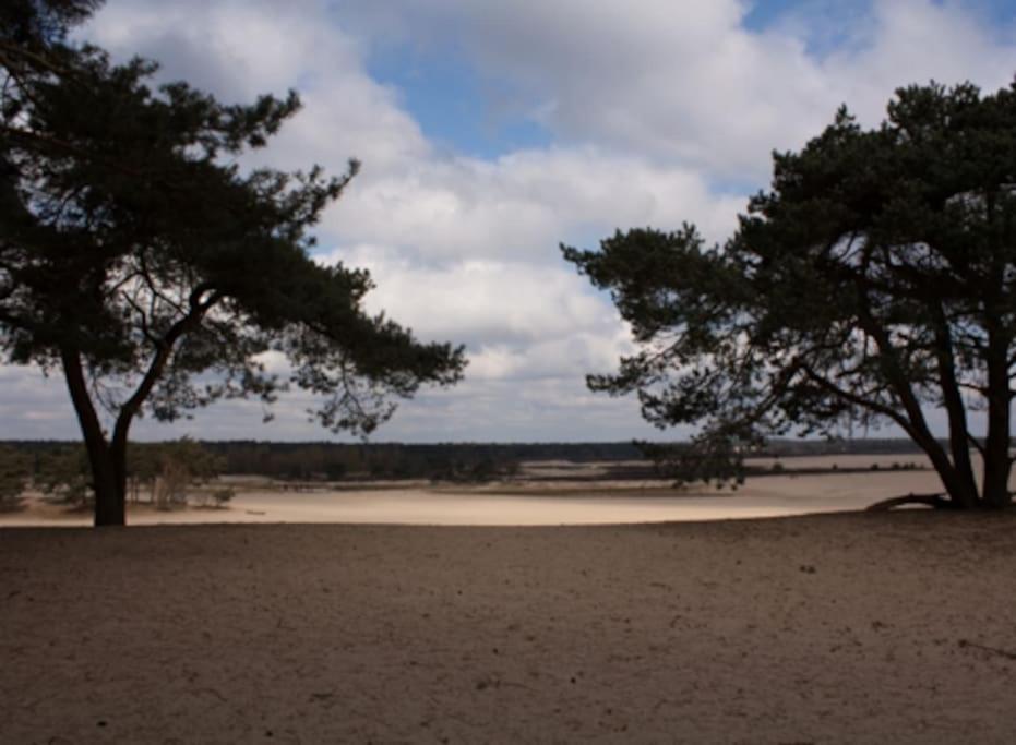 Natuurhuisje Oisterwijk Villa Exteriör bild